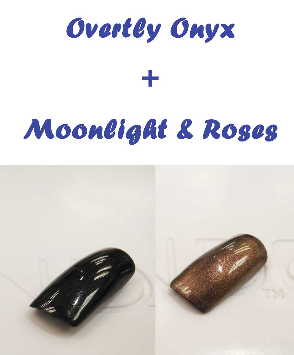 Overtly Onyx + Moonlight & Roses